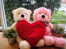 Coppie Teddy Bears nell'abbraccio fotografia stock libera da diritti Coppie Teddy Bears nell'abbraccio fotografia stock libera da diritti