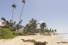 Coqueirinho strand, Conde PB, Brasilien arkivfoto Coqueirinho strand, Conde PB, Brasilien arkivfoto