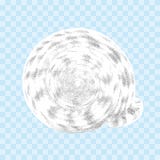 Coquillage d'isolement sur le fond transparent illustration de vecteur Coquillage d'isolement sur le fond transparent illustration de vecteur
