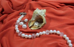 Coquille de mer et bijoux de perle - un bracelet et boucles d'oreille sur un fond rose photographie stock Coquille de mer et bijoux de perle - un bracelet et boucles d'oreille sur un fond rose photographie stock