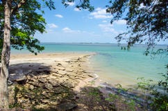 Coquille fossile Thaïlande photo stock Coquille fossile Thaïlande photo stock