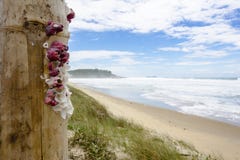 COQUILLES à la PLAGE, BRÉSIL - 5 décembre 2016 : Joaquina Beach est a photographie stock COQUILLES à la PLAGE, BRÉSIL - 5 décembre 2016 : Joaquina Beach est a photographie stock