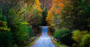 Cor do outono ao longo de uma estrada na floresta do estado de Michaux, Pensilvânia imagem de stock Cor do outono ao longo de uma estrada na floresta do estado de Michaux, Pensilvânia imagem de stock