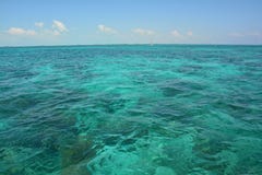 Coral Reef op Caye-Breeuwijzereiland Belize stock foto Coral Reef op Caye-Breeuwijzereiland Belize stock foto