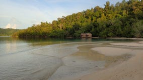Sunset Wild island tropical forest raja ampat on the beach
