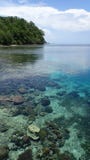 View on the reef, transparency of the water, small islands, school of fish