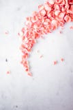 coral rose petals on marble, color of the year - flower backgrounds and holidays concept royalty free stock images coral rose petals on marble, color of the year - flower backgrounds and holidays concept royalty free stock images