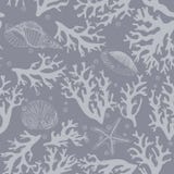 Coral, seashells seamless pattern in vintage style. Vector illustration vector illustration Coral, seashells seamless pattern in vintage style. Vector illustration vector illustration