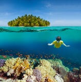 Corals, Diver And Palm Island Stock Photo Corals, Diver And Palm Island Stock Photo