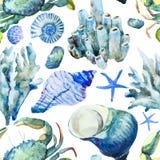 Corals with shells and crabs stock illustration Corals with shells and crabs stock illustration