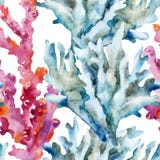 Corals with shells and crabs stock illustration Corals with shells and crabs stock illustration