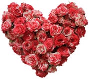 Coração das rosas pequenas isoladas imagem de stock Coração das rosas pequenas isoladas imagem de stock