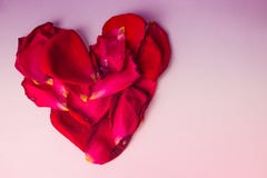 Coração de Rose Petals foto de stock Coração de Rose Petals foto de stock