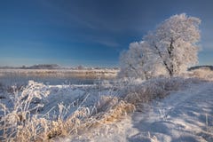 Cordón de la Navidad Sobre todo río tranquilo del invierno, rodeado por los árboles cubiertos con escarcha y la nieve que cae en fotografía de archivo Cordón de la Navidad Sobre todo río tranquilo del invierno, rodeado por los árboles cubiertos con escarcha y la nieve que cae en fotografía de archivo