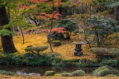 Cores japonesas do outono do jardim fotografia de stock royalty free Cores japonesas do outono do jardim fotografia de stock royalty free