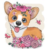 Corgi dos desenhos animados com flowerson um fundo branco ilustração do vetor Corgi dos desenhos animados com flowerson um fundo branco ilustração do vetor