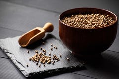 Coriander Cilantro Seeds Stock Photo Coriander Cilantro Seeds Stock Photo