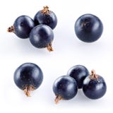 Corinto preto no branco. Coleção imagem de stock Corinto preto no branco. Coleção imagem de stock