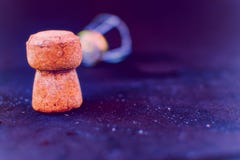 Cork and lid of a bottle of champagne royalty free stock photography Cork and lid of a bottle of champagne royalty free stock photography