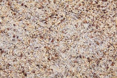 Corn bran. Waste from processing of corn. Mixed different grain. Spilled bran. stock images Corn bran. Waste from processing of corn. Mixed different grain. Spilled bran. stock images