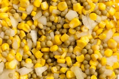 Corn Salad Royalty Free Stock Photography Corn Salad Royalty Free Stock Photography