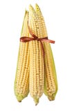 Corn With Brown Bow Isolated On A White Stock Image