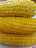 corns foto de stock corns foto de stock