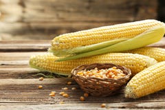 corns fotografia de stock royalty free corns fotografia de stock royalty free