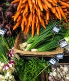 Cornucopia of vegetables in array of colors from local farmers market stock photography Cornucopia of vegetables in array of colors from local farmers market stock photography