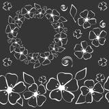Corona bianca del fiore di Conter illustrazione di stock Corona bianca del fiore di Conter illustrazione di stock