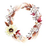 Corona dell'acquerello fatta delle capsule della pianta di cotone royalty illustrazione gratis Corona dell'acquerello fatta delle capsule della pianta di cotone royalty illustrazione gratis