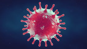 Corona Virus Covid-19 concept image