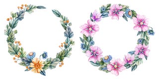 Corone dei wildflowers dell'acquerello royalty illustrazione gratis Corone dei wildflowers dell'acquerello royalty illustrazione gratis