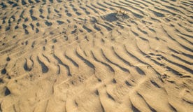 Corralejo Sand And Dunes Stock Images Corralejo Sand And Dunes Stock Images