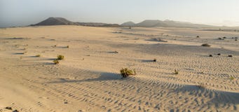 Corralejo Sand And Dunes At Sunset Royalty Free Stock Photography