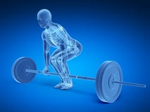 Correct lifting posture royalty free illustration Correct lifting posture royalty free illustration