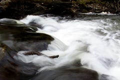 Corrente cristallina bianca del fiume che precipita sopra le rocce fotografia stock Corrente cristallina bianca del fiume che precipita sopra le rocce fotografia stock