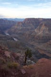 Corte del río a través de Grand Canyon imágenes de archivo libres de regalías Corte del río a través de Grand Canyon imágenes de archivo libres de regalías