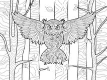 Coruja no livro para colorir da floresta para o vetor dos adultos ilustração royalty free Coruja no livro para colorir da floresta para o vetor dos adultos ilustração royalty free
