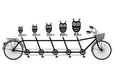 Corujas na bicicleta em tandem, vetor ilustração royalty free Corujas na bicicleta em tandem, vetor ilustração royalty free