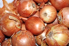 Cosecha del otoño de verduras y del primer de las frutas imagenes de archivo Cosecha del otoño de verduras y del primer de las frutas imagenes de archivo