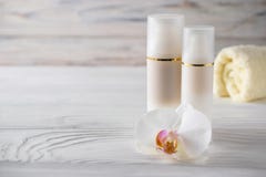 Cosmetici naturali ed organici di cura del corpo e del fronte di trattamento fotografia stock libera da diritti Cosmetici naturali ed organici di cura del corpo e del fronte di trattamento fotografia stock libera da diritti