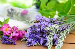 Cosméticos naturales con las hierbas fotografía de archivo Cosméticos naturales con las hierbas fotografía de archivo