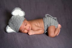 Costume s'usant d'éléphant de bébé nouveau-né photos stock Costume s'usant d'éléphant de bébé nouveau-né photos stock