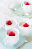 Cotta de Panna avec la framboise photographie stock libre de droits Cotta de Panna avec la framboise photographie stock libre de droits