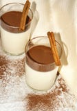 Cotta Panna με τη σκόνη cocao στοκ φωτογραφίες Cotta Panna με τη σκόνη cocao στοκ φωτογραφίες
