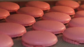 Cottura di Macaron in forno Cottura di Macaron in forno