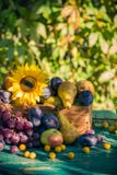 Coucher de soleil saisonnier de lumière de panier de fruits de fin d'été de jardin photographie stock libre de droits Coucher de soleil saisonnier de lumière de panier de fruits de fin d'été de jardin photographie stock libre de droits