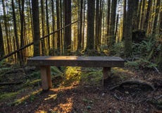 Coucher du soleil chez Wallace Falls State Park Photo stock Coucher du soleil chez Wallace Falls State Park Photo stock