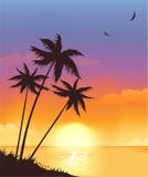 coucher du soleil d'été illustration de vecteur coucher du soleil d'été illustration de vecteur